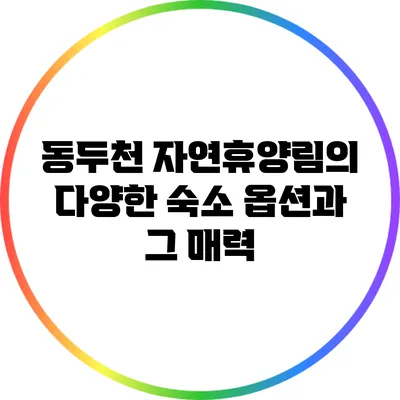 동두천 자연휴양림의 다양한 숙소 옵션과 그 매력