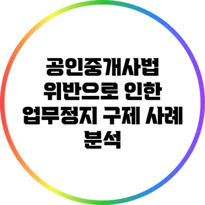 공인중개사법 위반으로 인한 업무정지 구제 사례 분석
