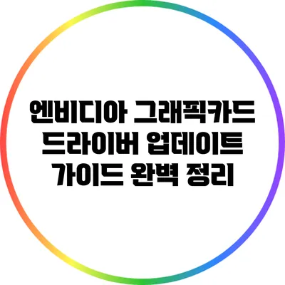 엔비디아 그래픽카드 드라이버 업데이트 가이드 완벽 정리