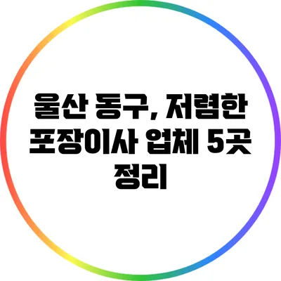 울산 동구, 저렴한 포장이사 업체 5곳 정리