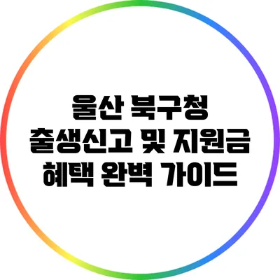 울산 북구청 출생신고 및 지원금 혜택 완벽 가이드