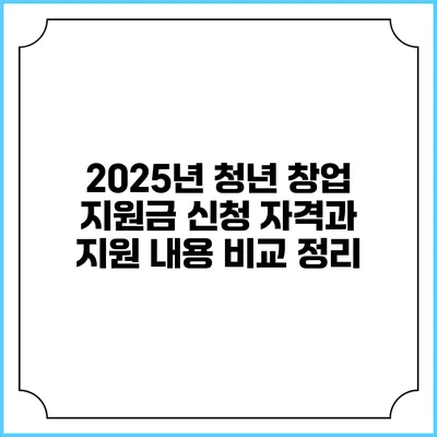2025년 청년 창업 지원금 신청 자격과 지원 내용 비교 정리