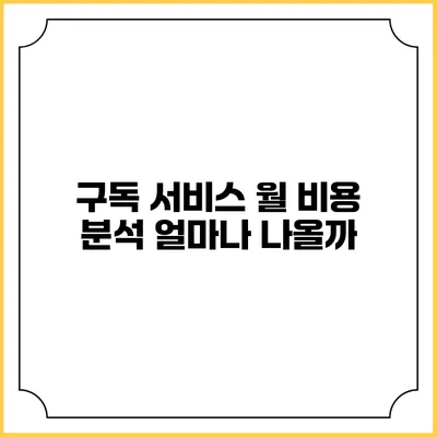 구독 서비스 월 비용 분석 얼마나 나올까?