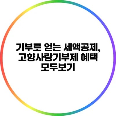 기부로 얻는 세액공제, 고향사랑기부제 혜택 모두보기