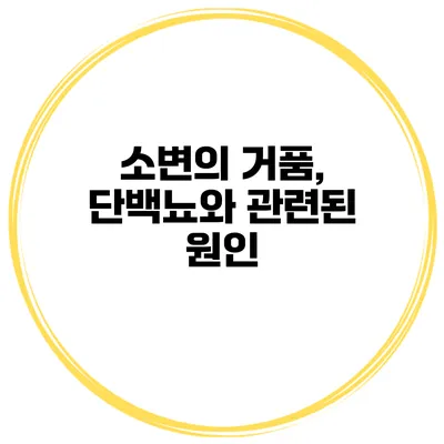 소변의 거품, 단백뇨와 관련된 원인