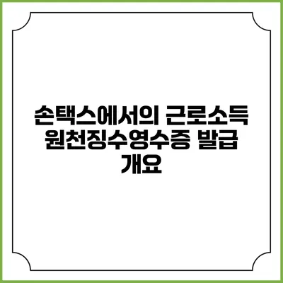 손택스에서의 근로소득 원천징수영수증 발급 개요