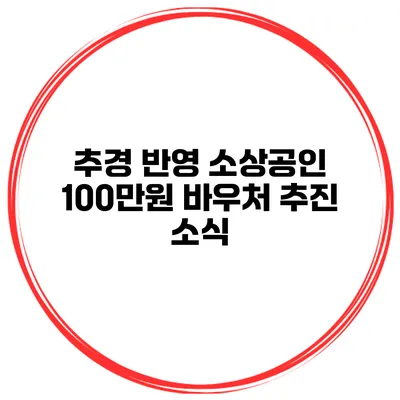 추경 반영 소상공인 100만원 바우처 추진 소식