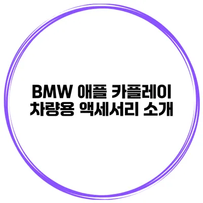 BMW 애플 카플레이 차량용 액세서리 소개