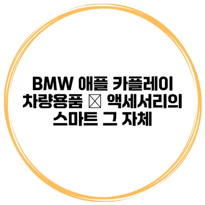 BMW 애플 카플레이 차량용품 – 액세서리의 스마트 그 자체