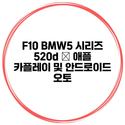 F10 BMW5 시리즈 520d – 애플 카플레이 및 안드로이드 오토
