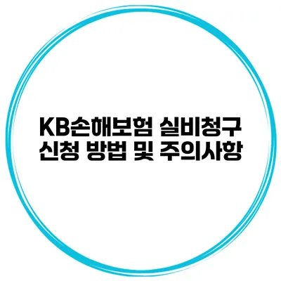 KB손해보험 실비청구 신청 방법 및 주의사항