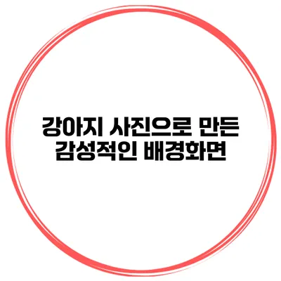 강아지 사진으로 만든 감성적인 배경화면