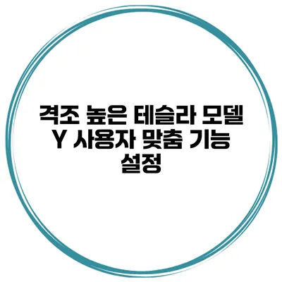 격조 높은 테슬라 모델 Y 사용자 맞춤 기능 설정