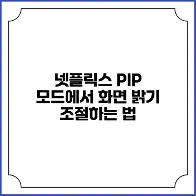 넷플릭스 PIP 모드에서 화면 밝기 조절하는 법