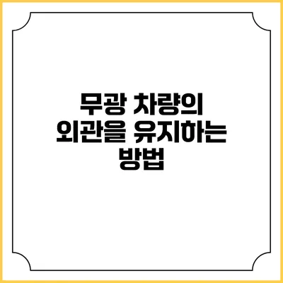 무광 차량의 외관을 유지하는 방법