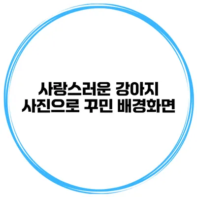 사랑스러운 강아지 사진으로 꾸민 배경화면