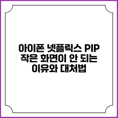 아이폰 넷플릭스 PIP 작은 화면이 안 되는 이유와 대처법