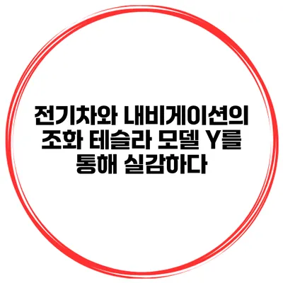 전기차와 내비게이션의 조화 테슬라 모델 Y를 통해 실감하다