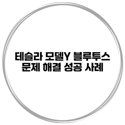 테슬라 모델Y 블루투스 문제 해결 성공 사례