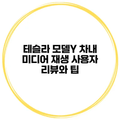 테슬라 모델Y 차내 미디어 재생 사용자 리뷰와 팁