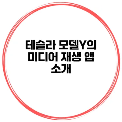 테슬라 모델Y의 미디어 재생 앱 소개